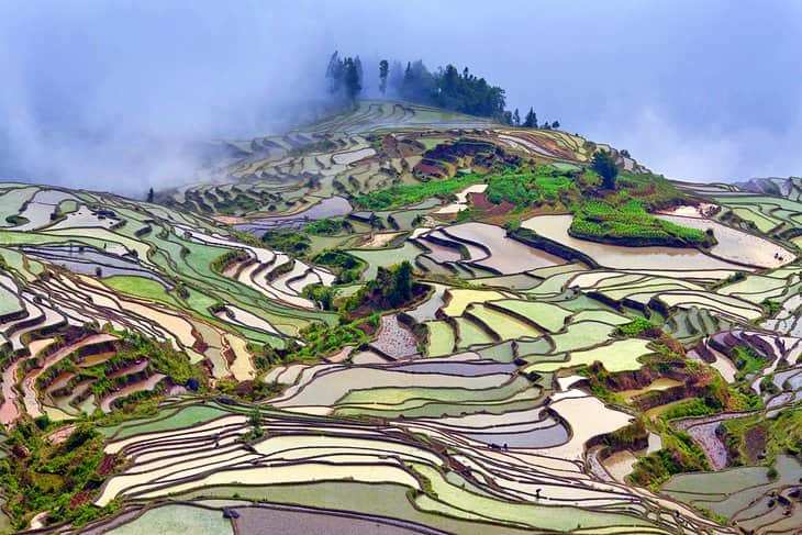 Arrozales-provincia-de-Yunnan Espectaculares lugares de China para fotografiar