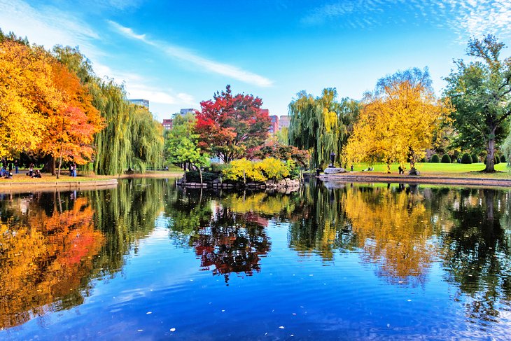 Boston-Common Parques en Boston: Rincones naturales para disfrutar durante todo el año