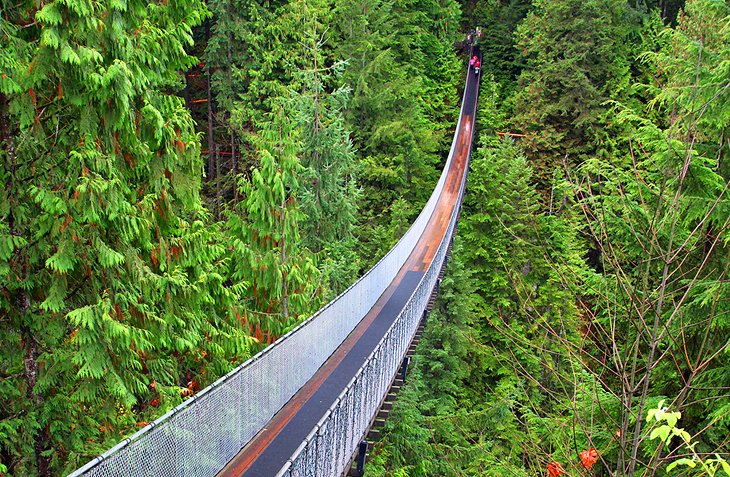 Camine-por-el-puente-colgante-de-Capilano Principales lugares para visitar en Vancouver, Canadá