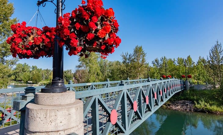Descubre-la-serenidad-en-la-Isla-del-Principe Mejores lugares para visitar en Calgary, Canadá