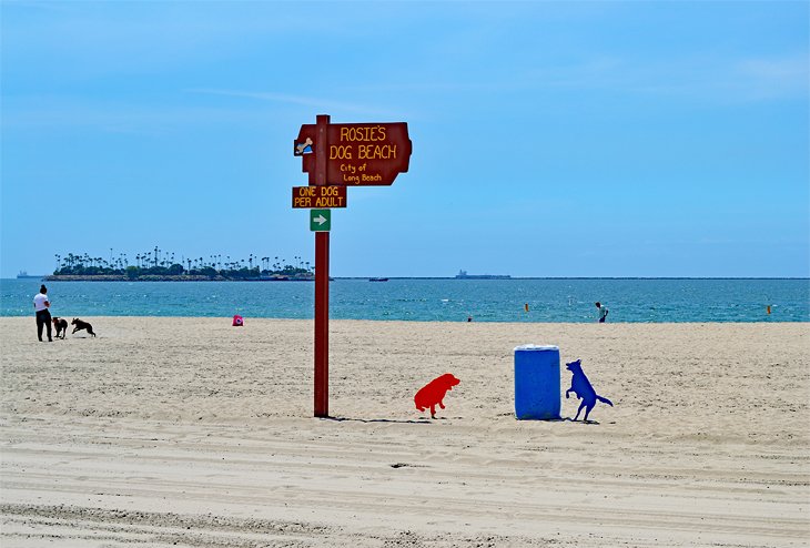 Disfruta-de-un-dia-de-playa-junto-a-tu-mejor-amigo-en-Rosies-Dog-Beach Qué hacer en Long Beach: 9 actividades fascinantes en este destino californiano
