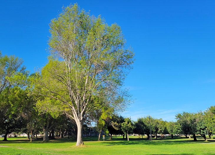 El-Dorado-Park-West Principales parques de Long Beach, California