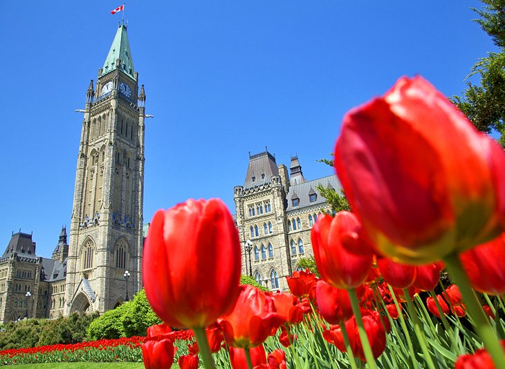 Festival-Canadiense-del-Tulipan Principales Atracciones turísticas en Ottawa