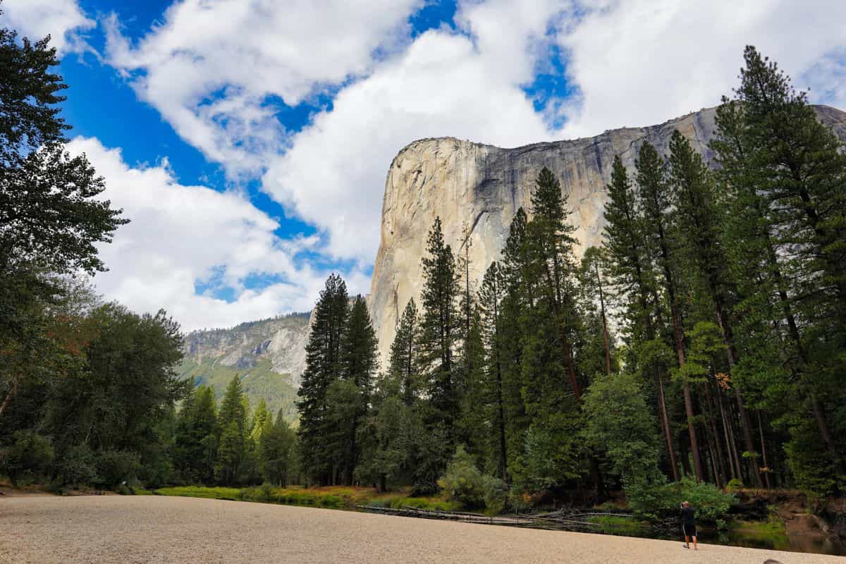 Formas de viajar de San Francisco a Yosemite