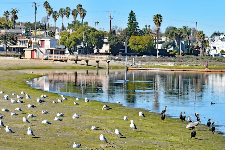 Laguna-de-Colorado Principales parques de Long Beach, California