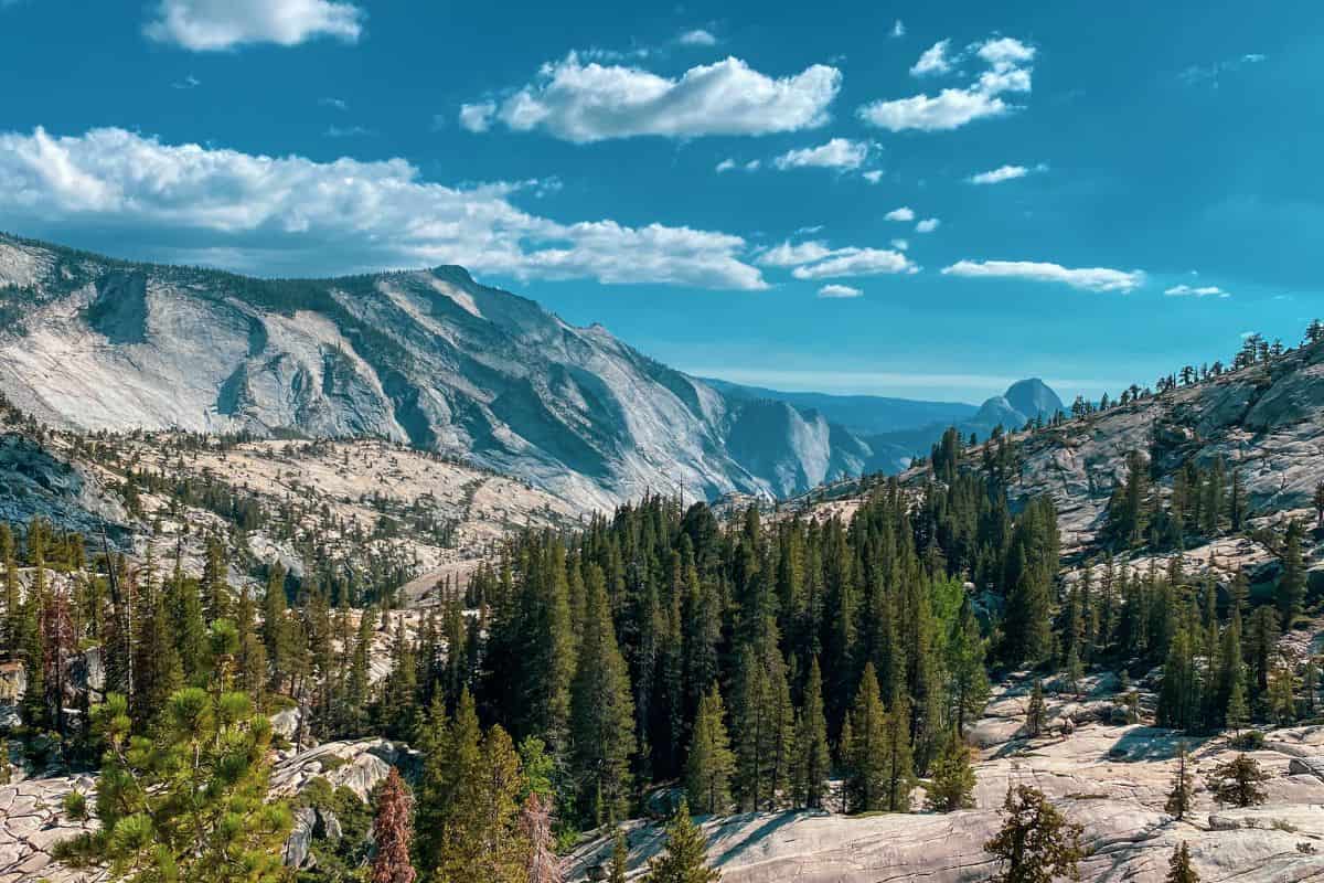 Lugares para visitar desde Los Ángeles hasta Kings Canyon