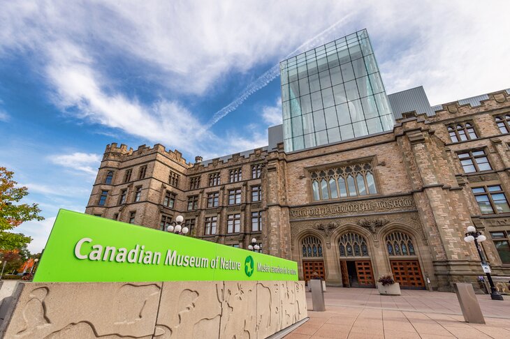 Museo-Canadiense-de-la-Naturaleza Principales Atracciones turísticas en Ottawa