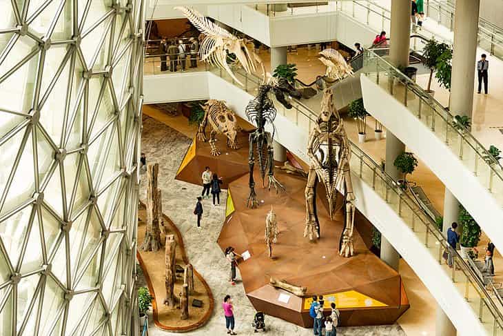 Museo-de-Historia-Natural-de-Shanghai Atracciones turísticas en Shanghái imprescindibles para tu visita
