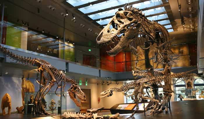 Museo-de-Historia-Natural Principales lugares turísticos de Los Ángeles en California