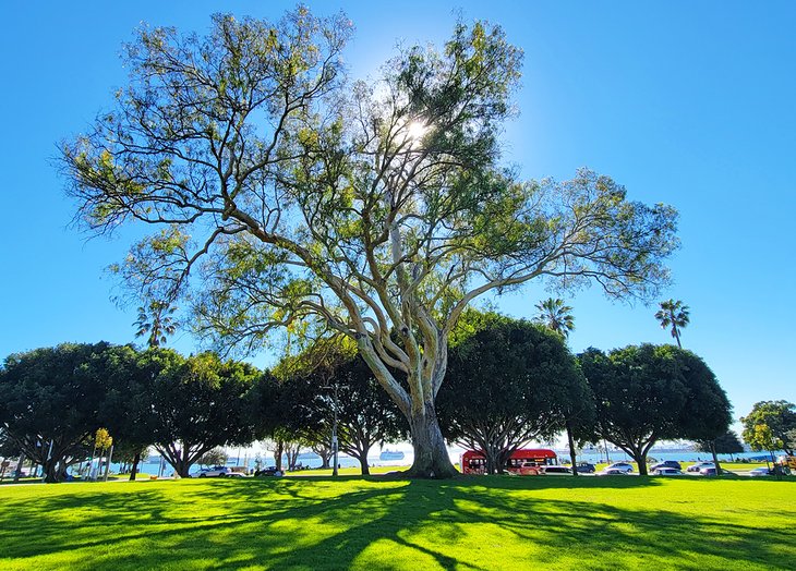 Parque-Bixby Principales parques de Long Beach, California