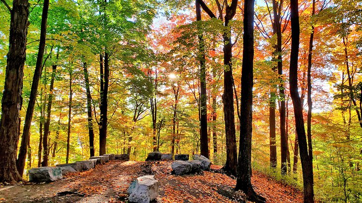 Parque-Earl-Bales Parques de Toronto: Naturaleza en medio de la ciudad