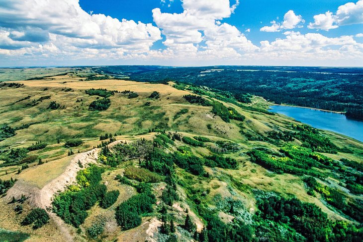 Parque-Interprovincial-Cypress-Hills Principales lugares turísticos en Canadá: Descubre lo mejor del gigante del norte