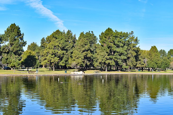 Parque-Regional-El-Dorado-Este Principales parques de Long Beach, California