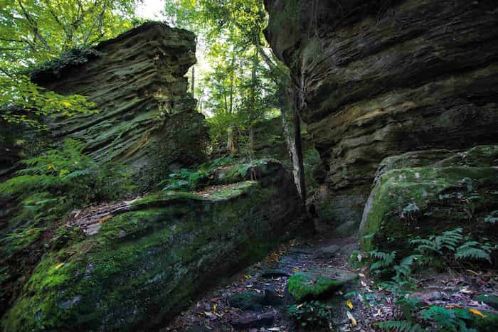 Parque-escenico-Panama-Rocks 8 Cosas que hacer en el Norte de Nueva York en otoño
