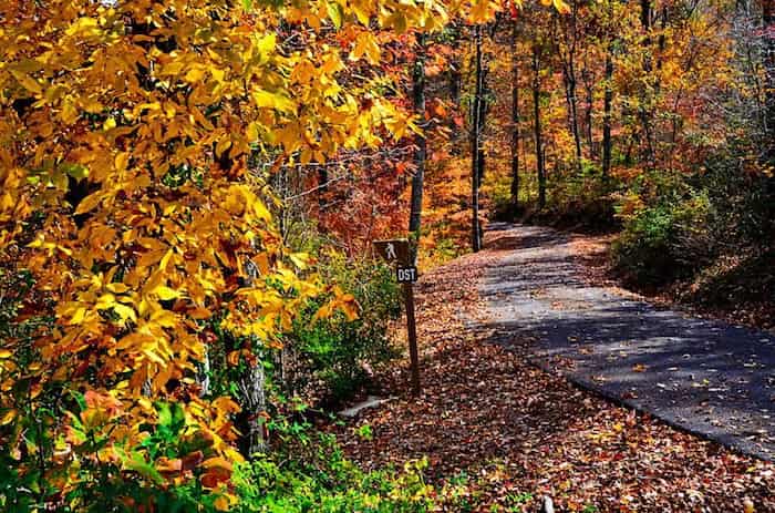 Parque-estatal-DeSoto 8 Lugares para ver los colores de otoño en Alabama