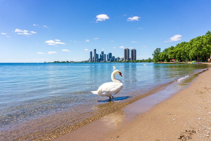 Playa-Sunnyside Mejores Playas de Toronto para nadar, pasear y ver el atardecer