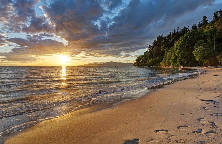 Playa-del-naufragio Mejores Playas de Vancouver para Disfrutar del Sol y la Naturaleza
