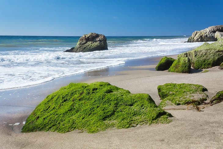 Playa-estatal-Leo-Carillo Playas en Los Ángeles: arena, olas y estilo californiano