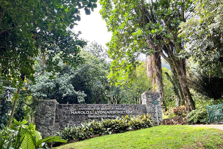 Principales lugares para visitar en Honolulu en Hawai