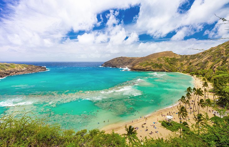 Bahia-de-Hanauma Principales lugares para visitar en Honolulu en Hawai