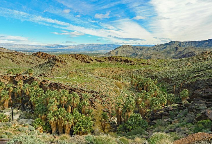 Canon-Murray Los mejores lugares para practicar senderismo en Palm Springs