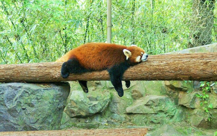 Cosas-que-hacer-en-Hangzhou-con-ninos Lugares para disfrutar en Hangzhou: Qué ver y qué hacer