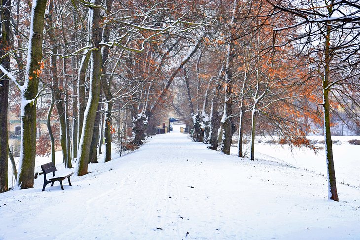 Actividades imperdibles para disfrutar el invierno en Praga