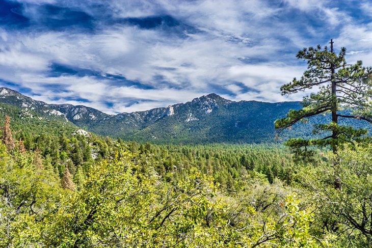 Idyllwild Escapada de fin de semana desde San Diego: Qué hacer y a dónde ir