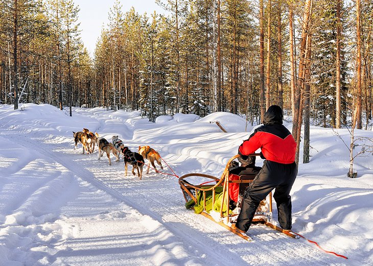 Ir-a-esquiar-o-pasear-en-un-trineo-tirado-por-perros Principales atracciones turísticas de Finlandia: destinos que no puedes perderte