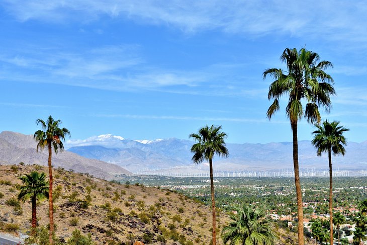 La-ruta-de-Arabia Los mejores lugares para practicar senderismo en Palm Springs