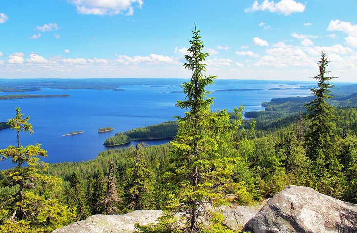 Parque-Nacional-Koli Los mejores lugares para fotografiar en Finlandia