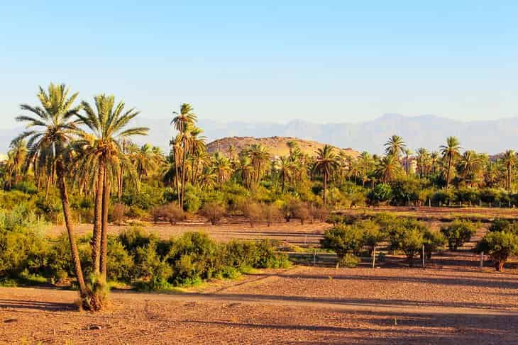 Paseo-en-bicicleta-o-a-caballo-por-la-Palmeraie Lugares para visitar en Marrakech: rincones imperdibles de la ciudad roja