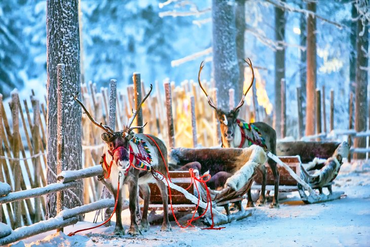Rovaniemi-y-el-Artico Principales atracciones turísticas de Finlandia: destinos que no puedes perderte