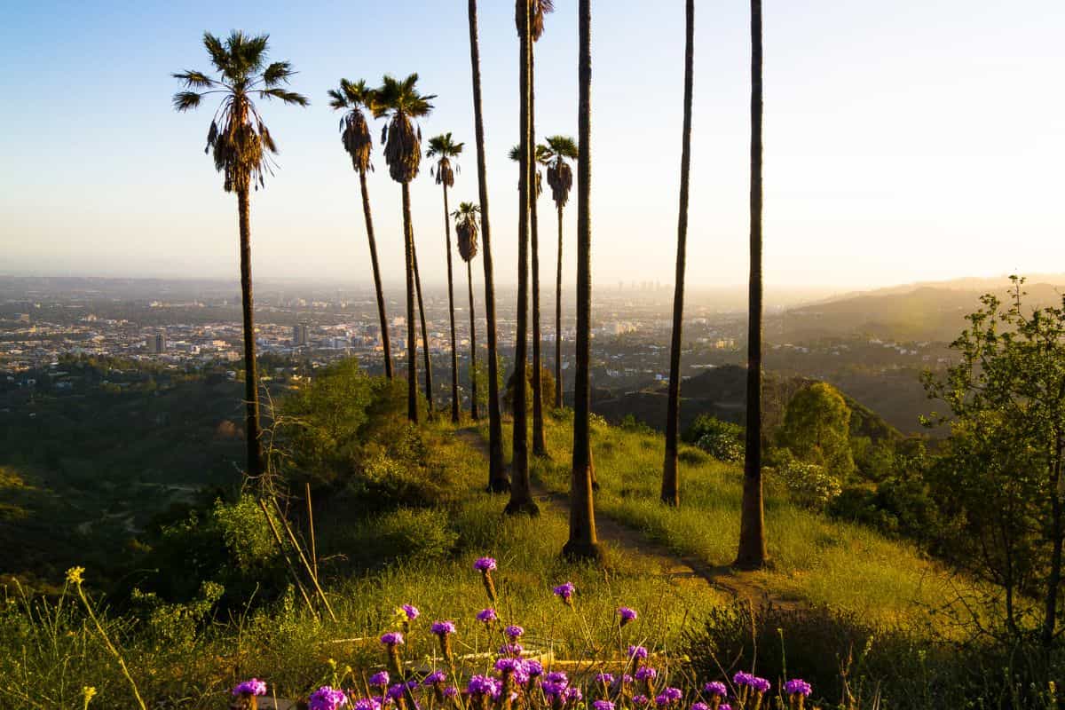 lugares para practicar senderismo en Palm Springs